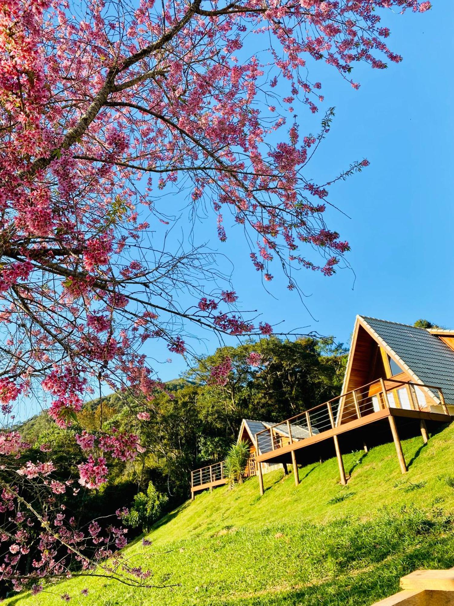 Chales Fazenda Floresta Das Araucarias Cunha Exteriör bild