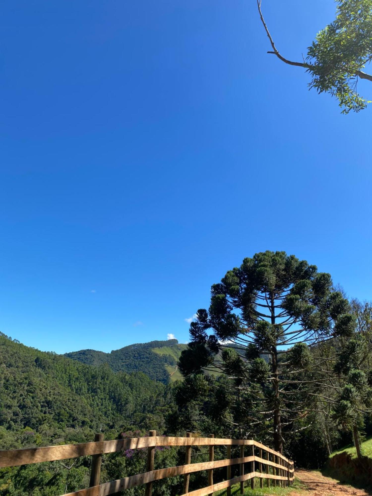 Chales Fazenda Floresta Das Araucarias Cunha Exteriör bild