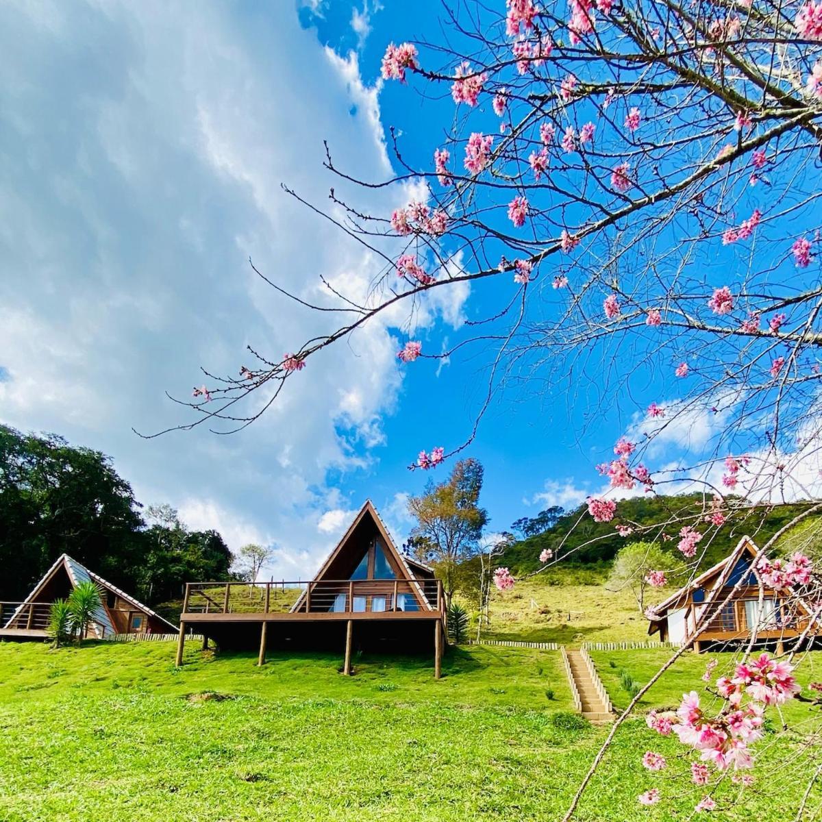 Chales Fazenda Floresta Das Araucarias Cunha Exteriör bild
